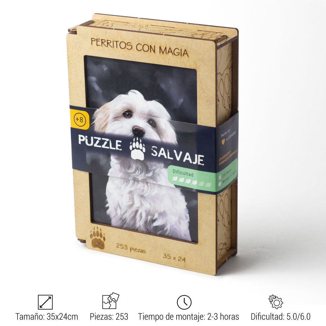 Bichón Maltés + Base GRATIS + Soporte GRATIS