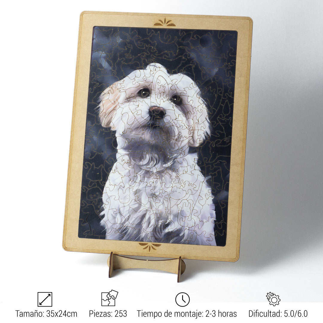 Bichón Maltés + Base GRATIS + Soporte GRATIS