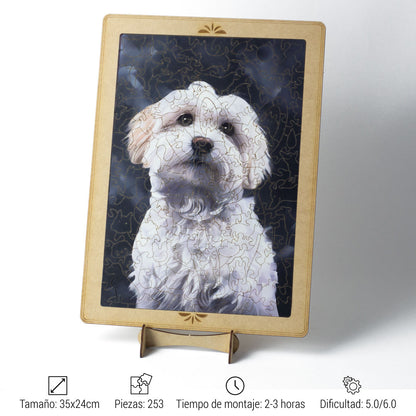 Bichón Maltés + Base GRATIS + Soporte GRATIS